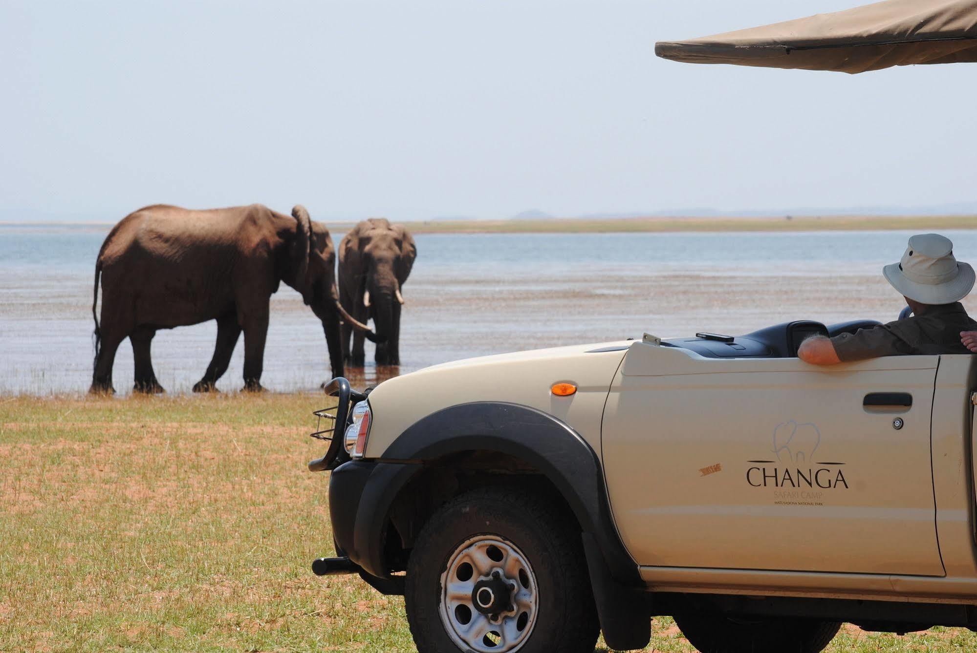 Changa Safari Camp Matusadona National Park Exterior foto