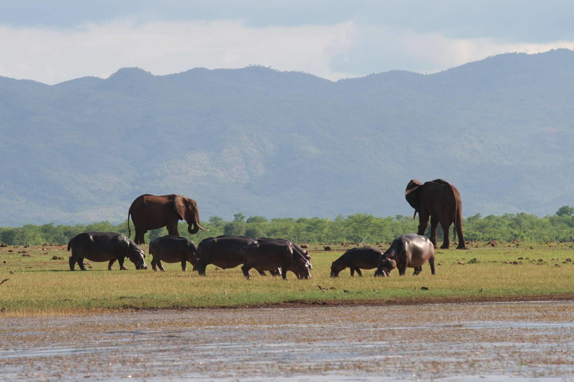 Changa Safari Camp Matusadona National Park Exterior foto